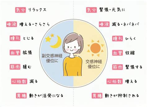 体質で考える「自律神経失調症」｜漢方と鍼灸 株式会社誠心堂薬局