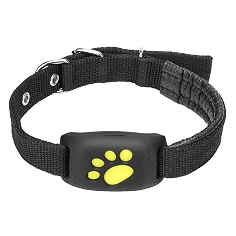 Rese As De Collares Para Gatos Con Gps Los Mejores