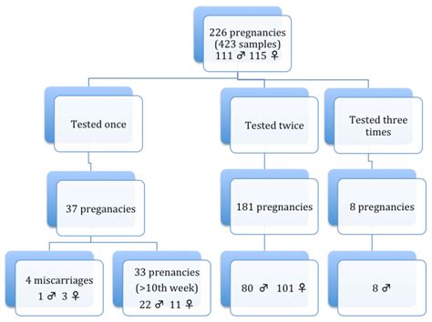 Diagnostics Free Full Text Overview Of Five Years Of Experience