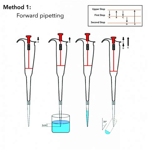 What Is A Micropipette Types How To Use Pipetting Techniques