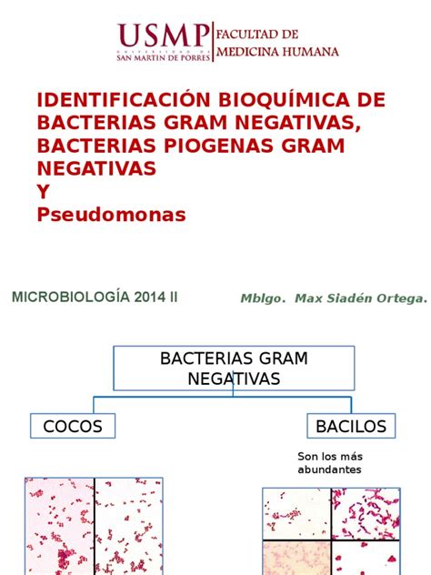 Identificación Bioquímica De Bacterias Gram Negativas