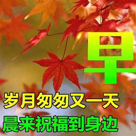 9月8日秋天早上好动态表情图片大全，早晨好动图美图大全 生活 祝福 问候