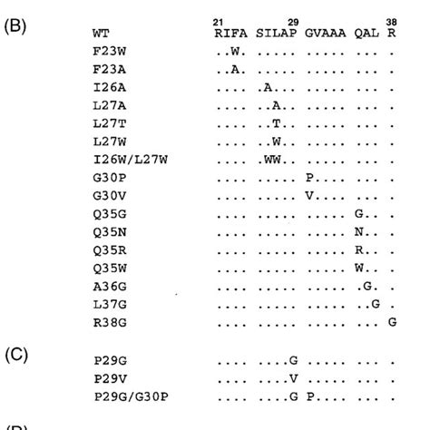 The ASLV Putative FPD Mutants A Schematic Of ASLV Env The SU And TM