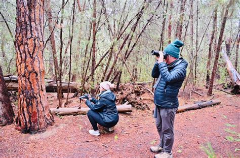 Gawler Nature Photo Walk Gawler Business Development Group