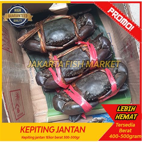 Jual Kepiting Jantan Hidup 1Kg PAPUA MUD CRAB Jantan Hidup Isi 2Ekor