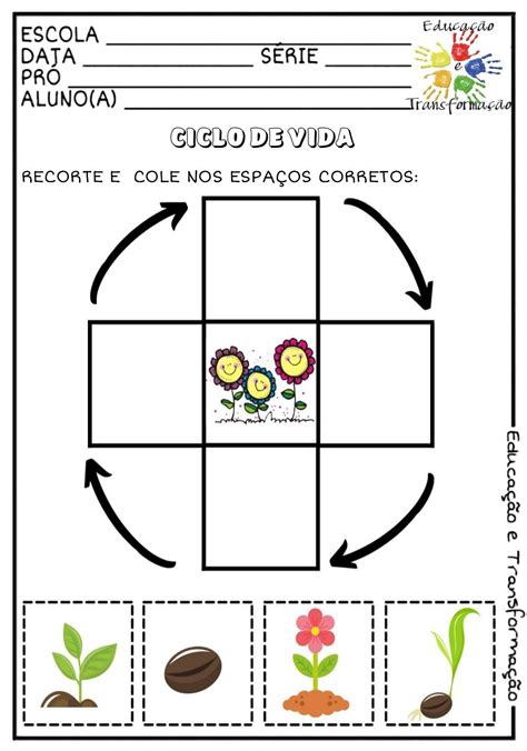 👍ciências Ciclo De Vida Ciclos De Vida Ciclo De Vida Das Plantas Projeto De Ciencias