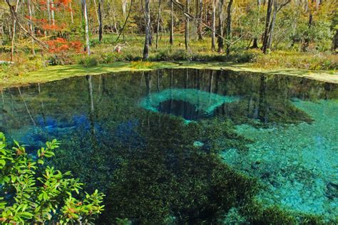 Blue Hole Spring Ichetucknee Springs State Park Suwannee Flickr