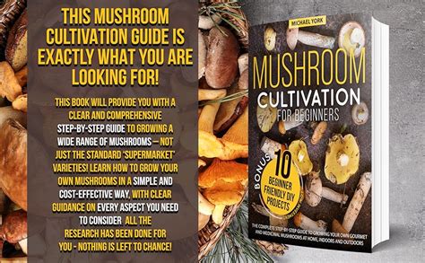 Mushroom Cultivation for Beginners: The Complete Guide to Growing Your ...