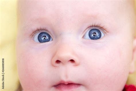 Newborn Baby Eyes Close Up