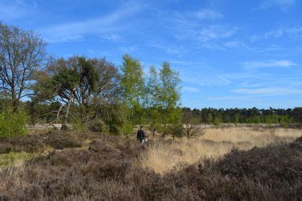 Natuurgebieden Visit Reusel De Mierden