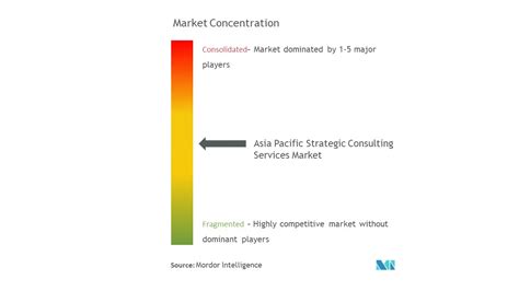 Analisi Delle Dimensioni Del Mercato E Delle Quote Del Mercato Dei Servizi Di Consulenza