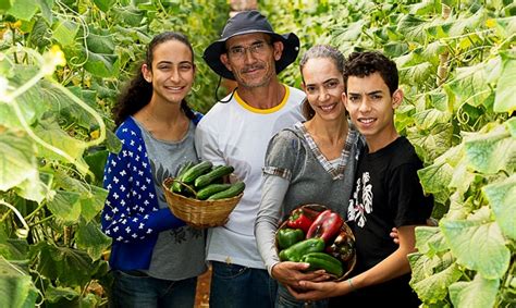 Descubre Todo Sobre La Agricultura Familiar Y Su Importancia