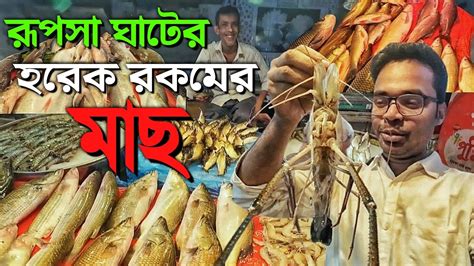 দেশের সবচেয়ে বড় মাছের বাজার Largest Fish Market In Bangladesh Youtube