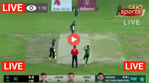 🔴live Pak Vs Nz 5th T20 Live Ptv Sports Live Streaming Today Match