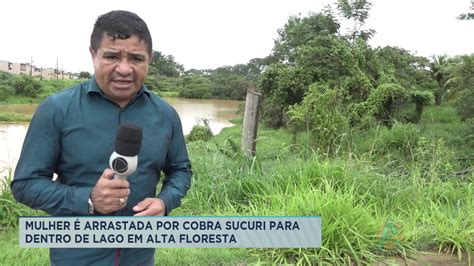 Mulher Arrastada Por Cobra Sucuri Para Dentro De Lago Em Alta