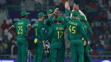 Proteas To Take Inspiration Not Pressure From Springboks World Cup Exploits Cricket