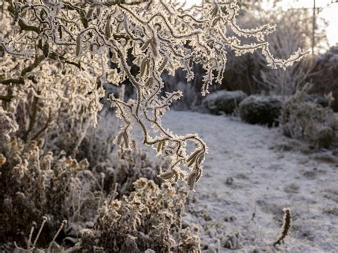 Zmiana pogody w weekend Temperatura może być zaskoczeniem Pogoda Wprost