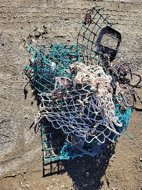 Marine Debris February Fishers Island Conservancy