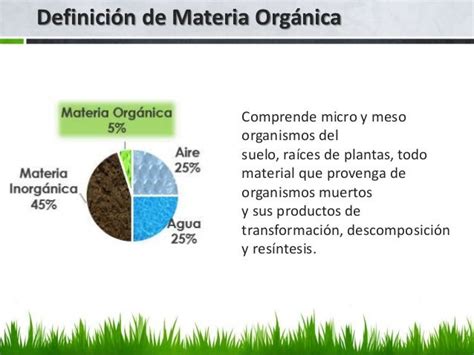 Materia Orgánica Del Suelo