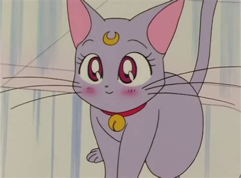 Diana Sailor Moon Sailor Moon Aesthetic Sailor Moon Cat