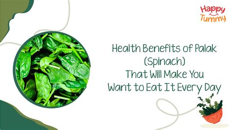 Health Benefits Of Palak Spinach That Will Make You Want To Eat It