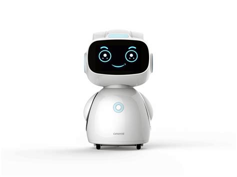 Robots Domestiques Connect S Quoi Servent Ils Et Quels Sont Les