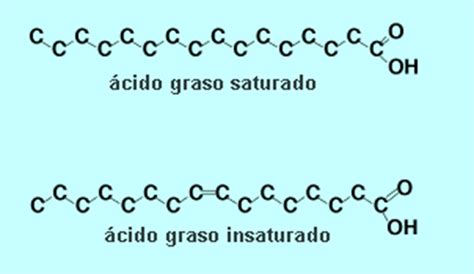 Ácido Graxo Saturado E Insaturado - Diferencie Ácidos Graxos Saturados E Insaturados – UOCYKX
