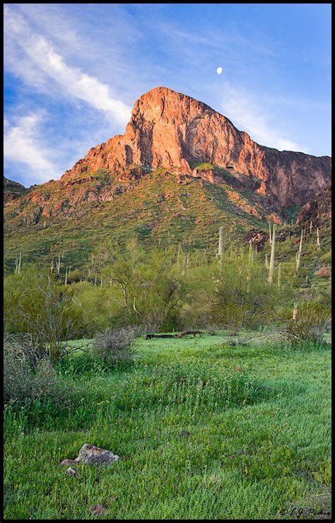 Picacho Peak Page