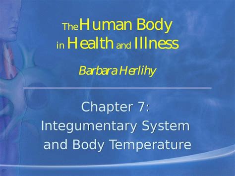 Ppt Chapter 7 Integumentary System And Body Temperature Chapter 7 Integumentary System And