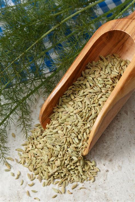 a wooden scoop full of fennel seeds on a table