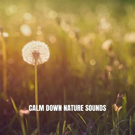 Reproducir Calm Down Nature Sounds De Relaxing Rain Sounds Deep Sleep