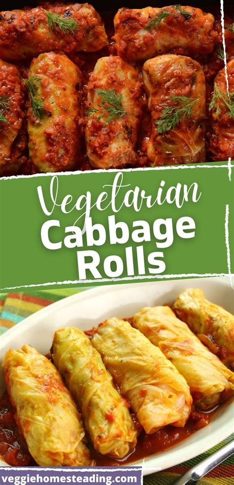 Vegetarian Cabbage Rolls Recipe | Recipe | Vegetarian cabbage ...