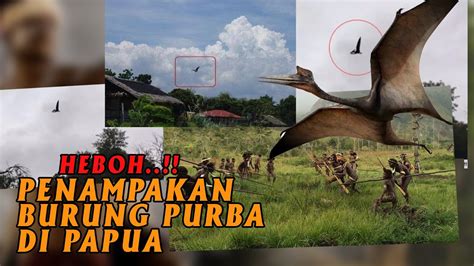 Detik Detik Penampakan Pterodactyl Burung Purba Misterius Terekam