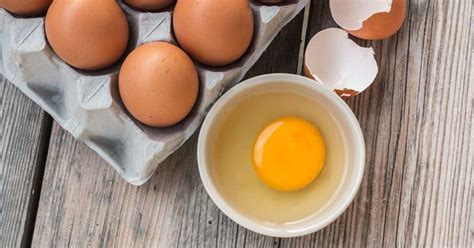 Real Eggs Versus Plant-Based Eggs » Cell Health News