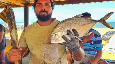 Fastest Trevally Fish Cutting Skill Skipjack Tuna Fish Cutting Skill