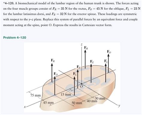 A Biomechanical Model Of The Lumbar Region Of Chegg