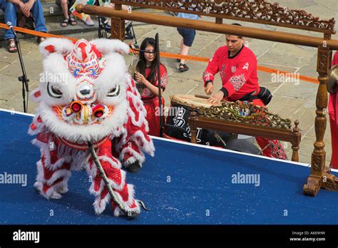 Malaysian Lion Dance Troupe Lion Stretches Snake Stock Photo Alamy