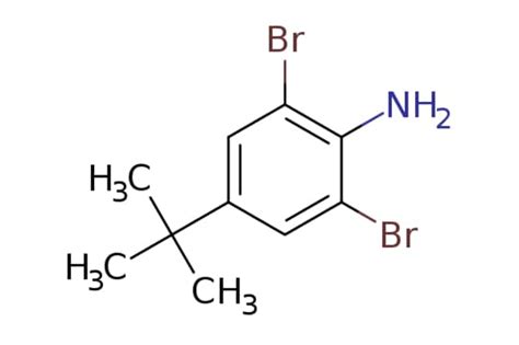 EMolecules Ambeed 26 Dibromo 4 Tert Butyl Aniline 1g 490555319