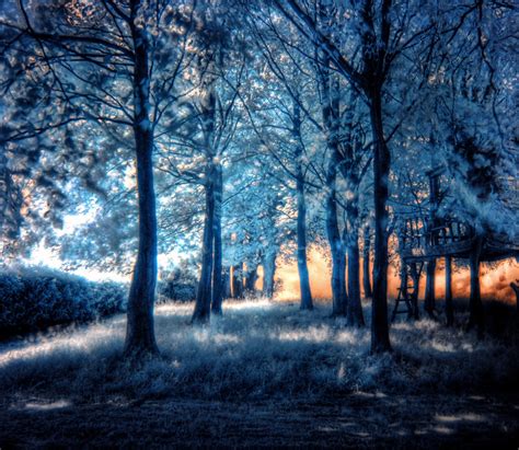 Mind Blowing Infrared Photography Mind Blowing Thechive Infrared