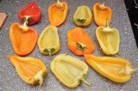 Курица в перце - Самые вкусные кулинарные рецепты