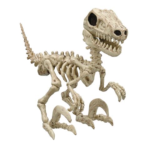 Seasons Raptor Skeleton Halloween Decor - Shop Seasonal decor at H-E-B