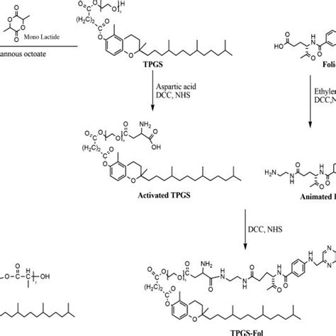 Schematic diagram of polymer synthesis. | Download Scientific Diagram