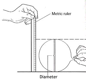 Measuring Lung Capacity