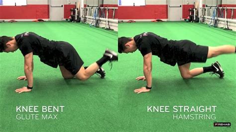 Bent Knee Hip Raise