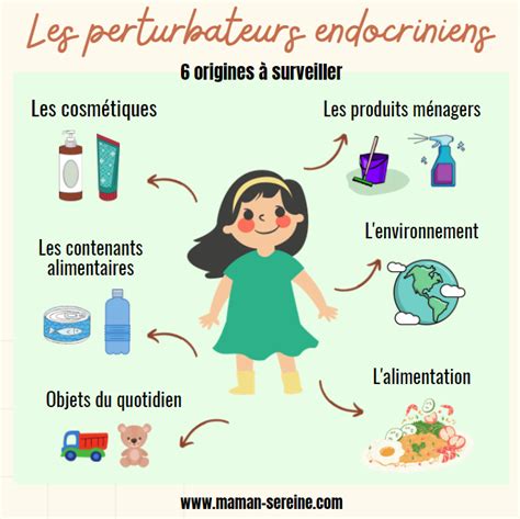 Les Dangers Des Perturbateurs Endocriniens Chez Lenfant Maman Sereine