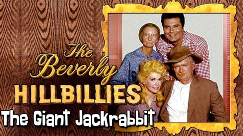 The Beverly Hillbillies The Giant Jackrabbit Youtube