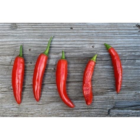 ONZA Hot Chilli Pepper Seeds Prijs