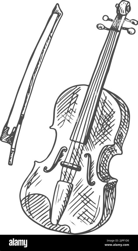 Violoncello Isolated Violin Fiddle With Bow Sketch Vector Cello Orchestra Viola Or Double Bass