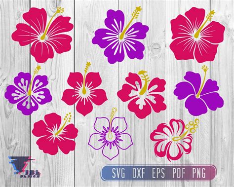 Hawaiian Flowers Svg Hawaiian Flower Svg Hibiscus Svg Etsy