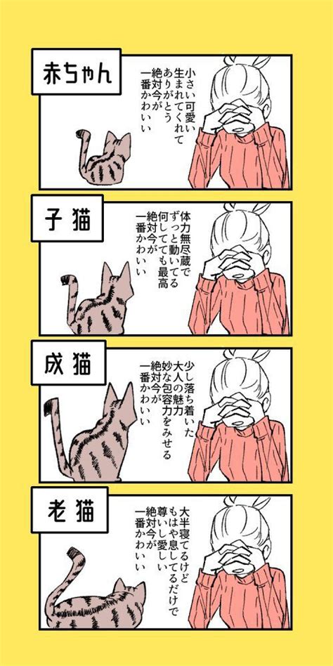 「絶対今が一番かわいい！」ネコチャンは何歳だってかわいいという事実を描いた漫画のわかりみが深い Togetter